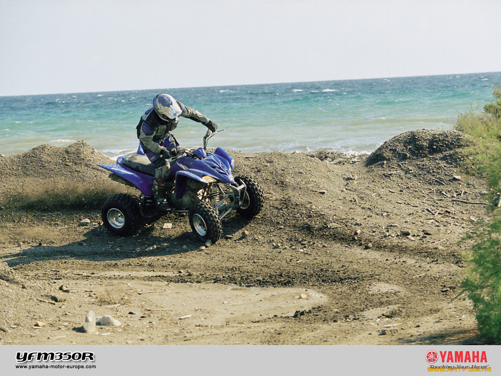 yfm350r, , 